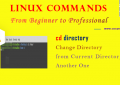 Linux cd Command - Change Directory to Another One for Beginners