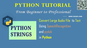 audio file to text in python