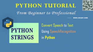 How to convert audio file to text in python