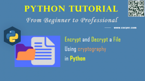 crypto library python rsa decrypt