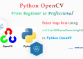 Reduce Image Noise Using cv2.fastNlMeansDenoisingColored() in Python OpenCV Tutorial