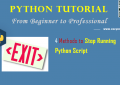 Python: 4 Methods to Stop Running Python Script